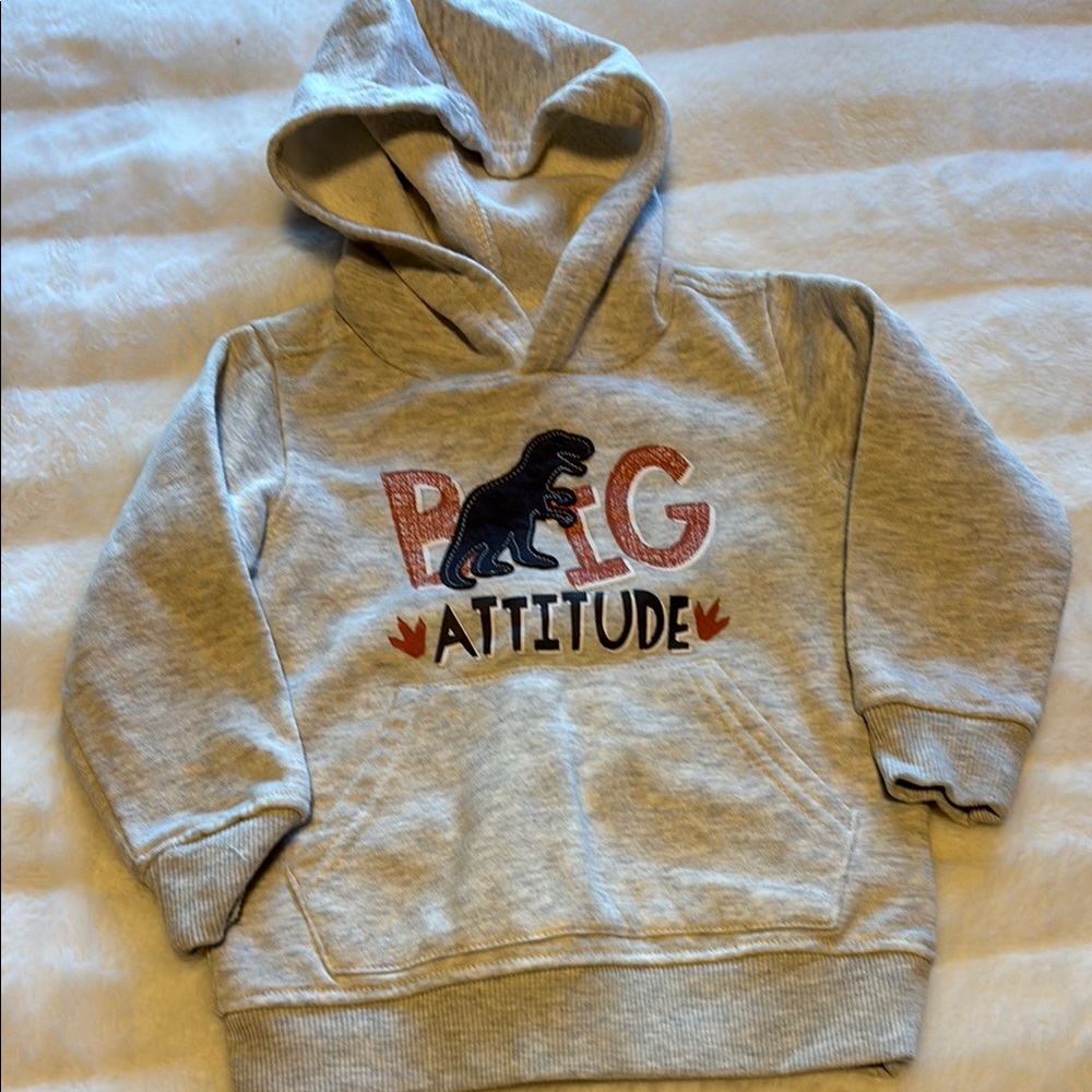 Gray Dinosaur Graphic Hoodie